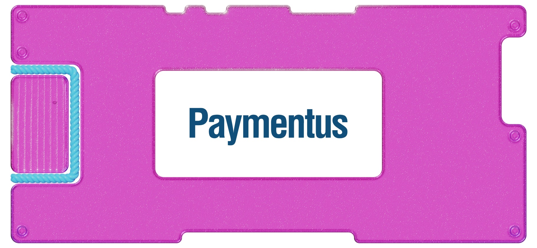 IPO Paymentus: стоит ли инвестировать в платежный сервис