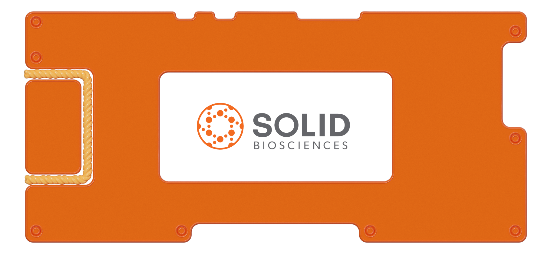 Обзор Solid Biosciences: перспективная биотехнологическая компания
