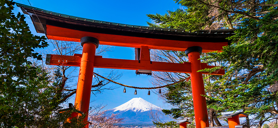 Япония: что нужно знать перед поездкой