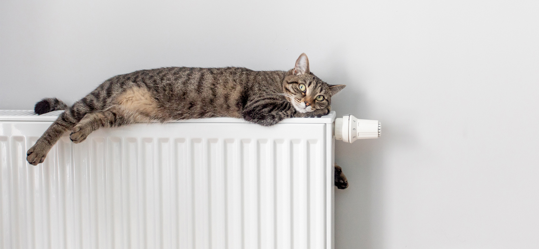 Что делать, если с приходом тепла не отключают отопление и дома жарко