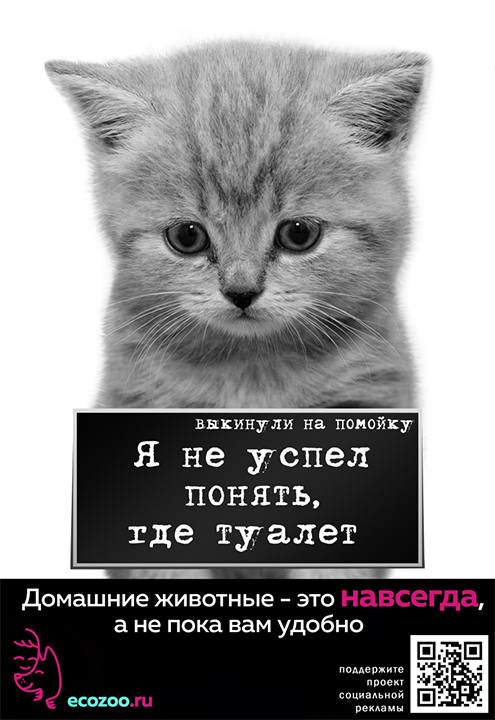Рекламный плакат проекта «Чтобы не было бездомных животных»