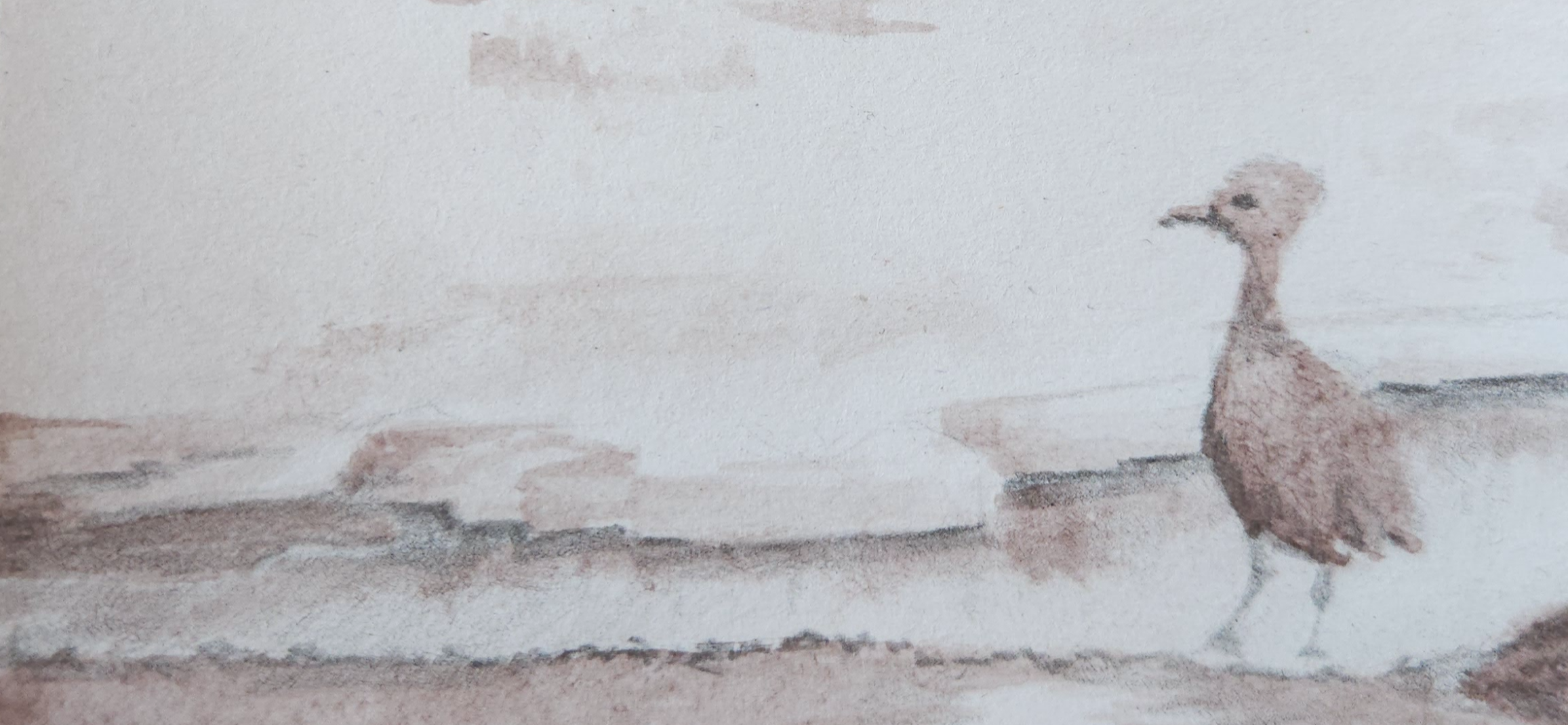 Мои рисунки: этюды на маленьких форматах