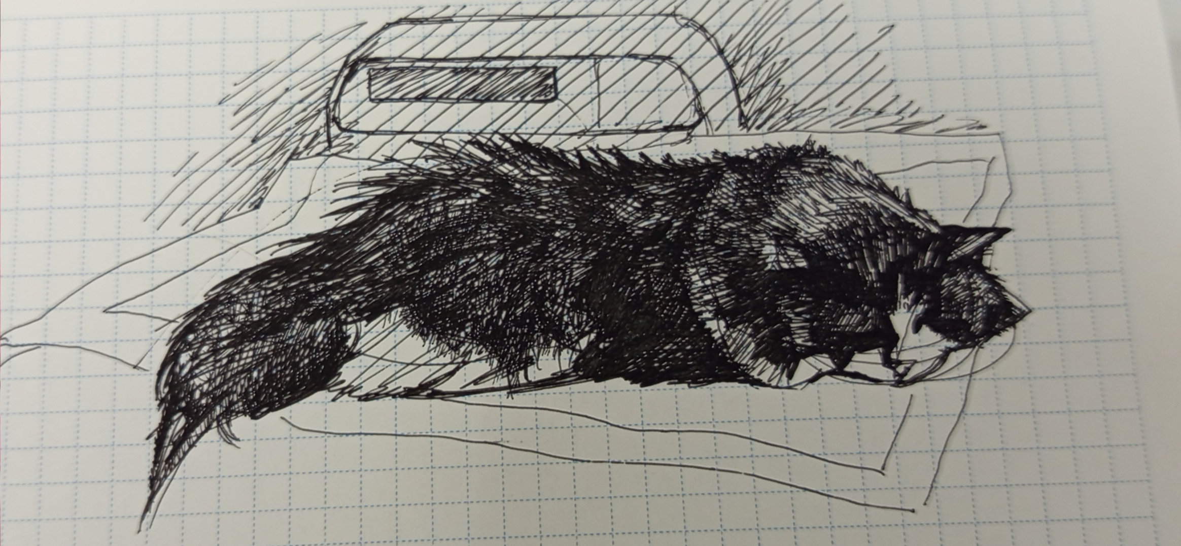 Мой рисунок: кошка сладко спит под капельницей