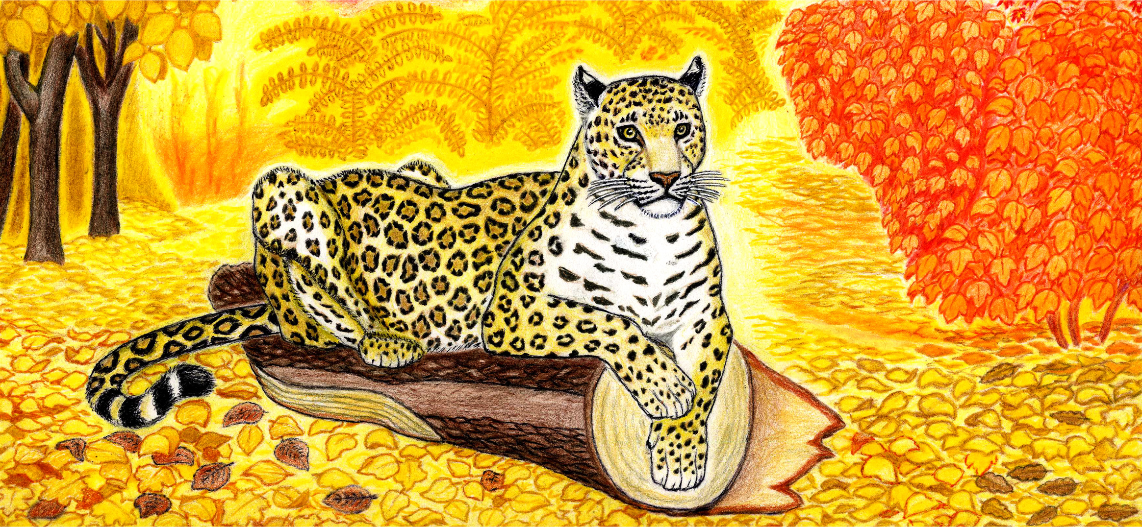 Мои рисунки: леопарды