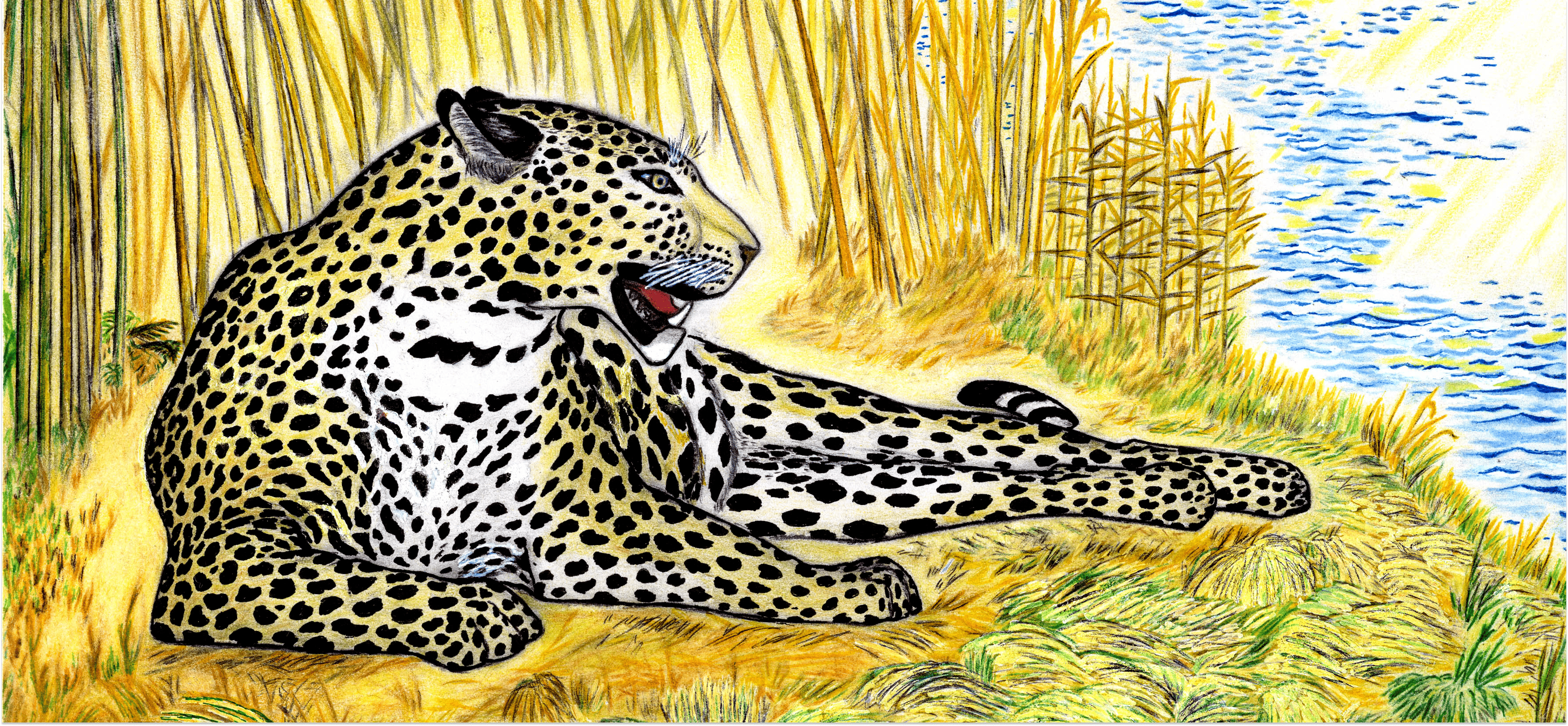 Мои рисунки: леопарды, тигр и кабан