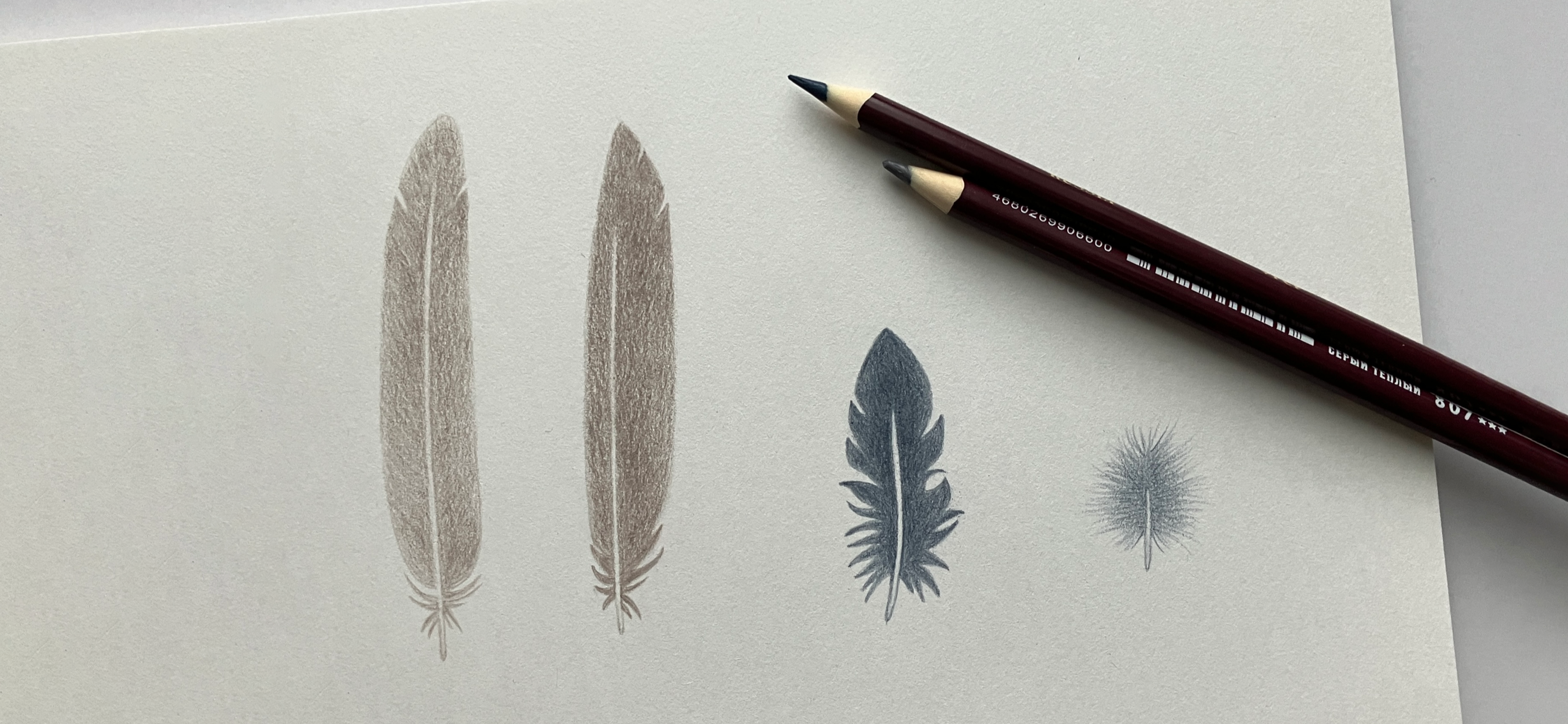 Мой рисунок: перышки цветными карандашами