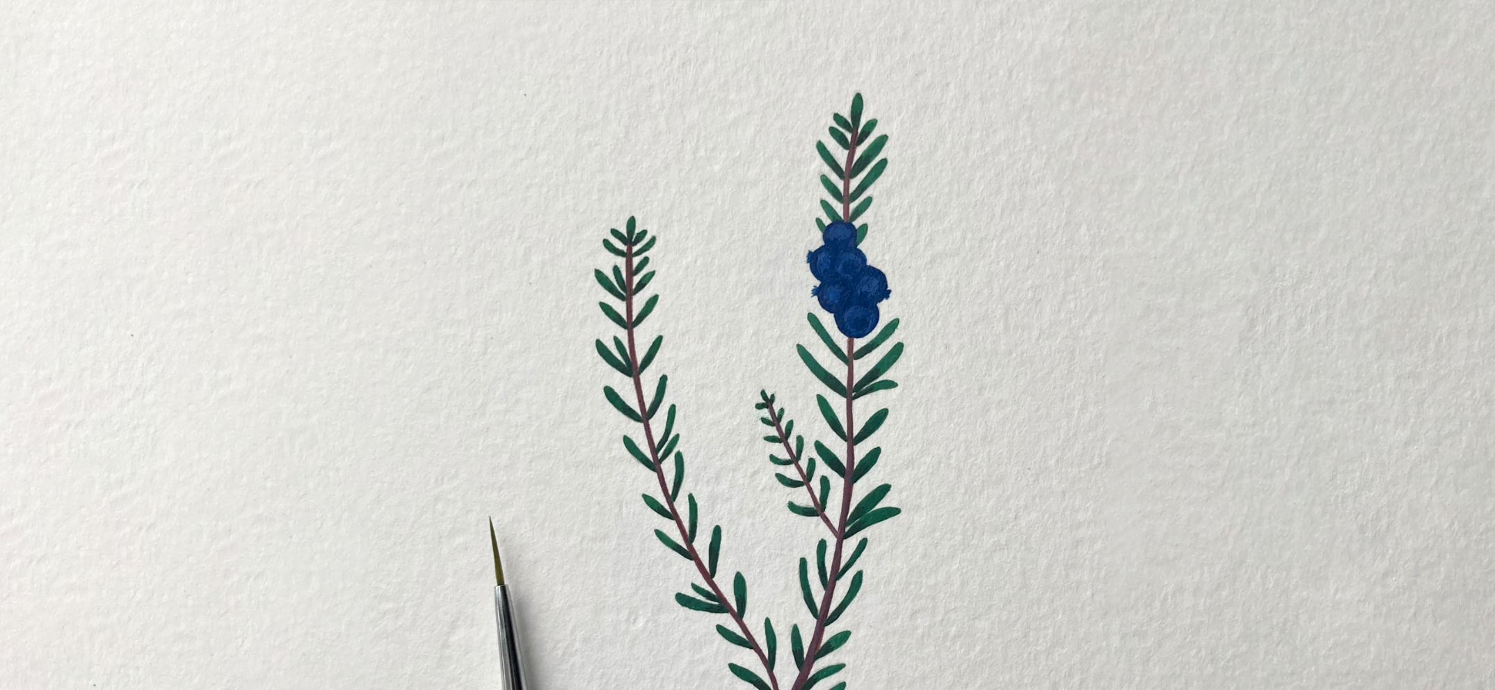 Мои рисунки: растения акриловой гуашью