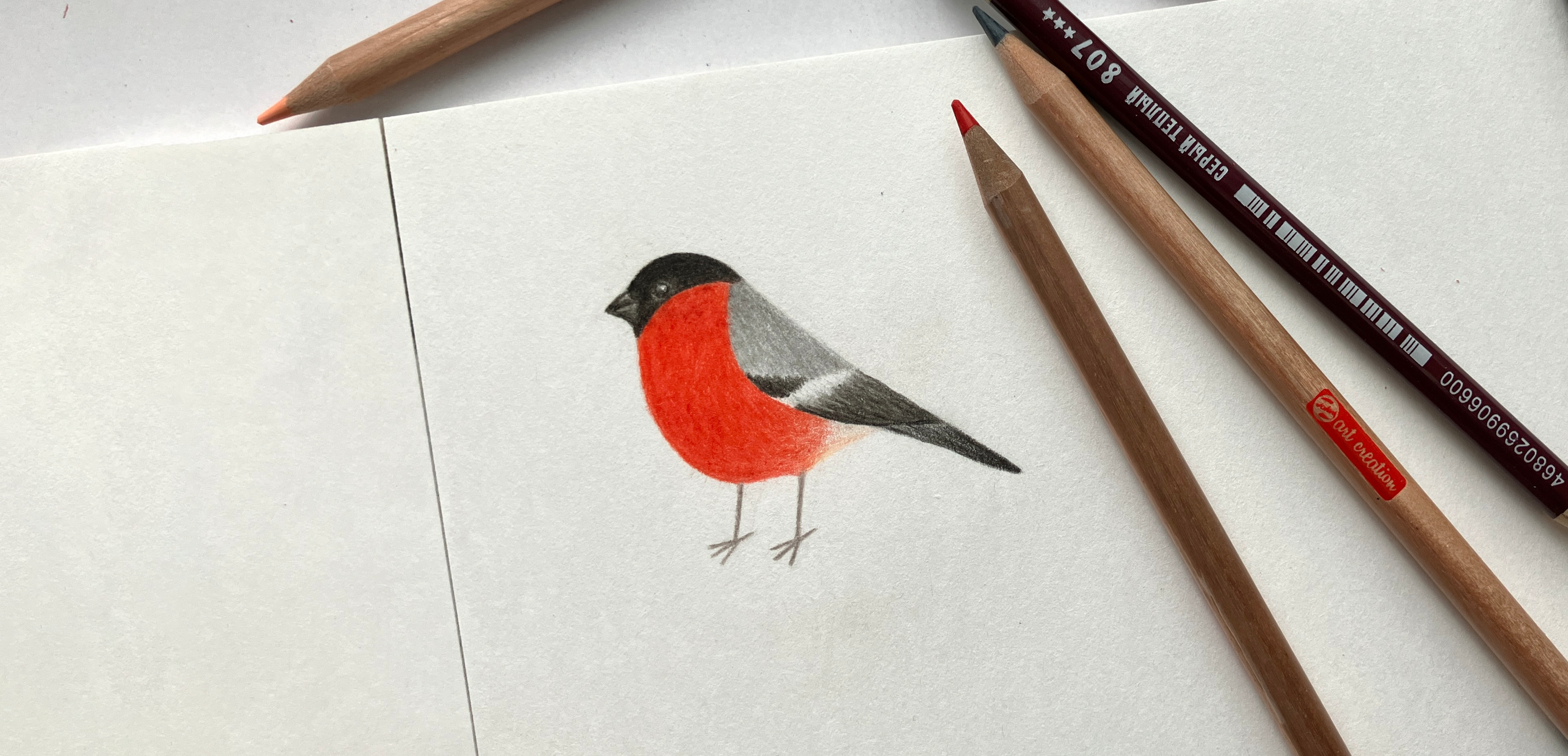 Мой рисунок: снегирь цветными карандашами