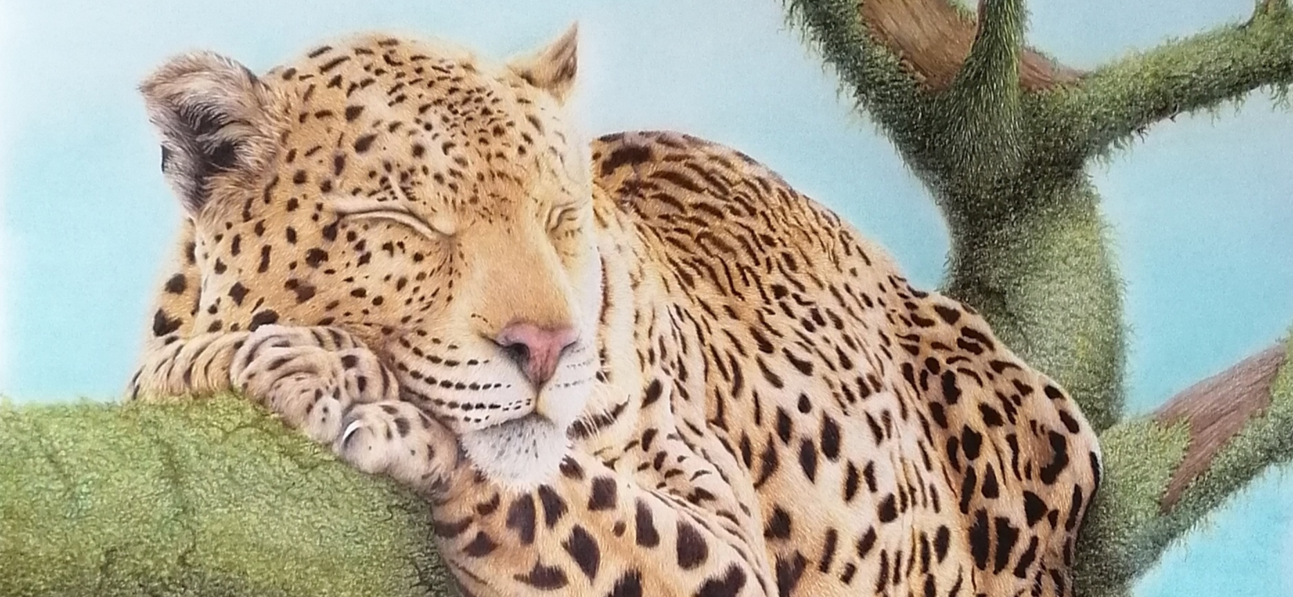 Мой рисунок: «Сны о любви» цветными карандашами и пастелью