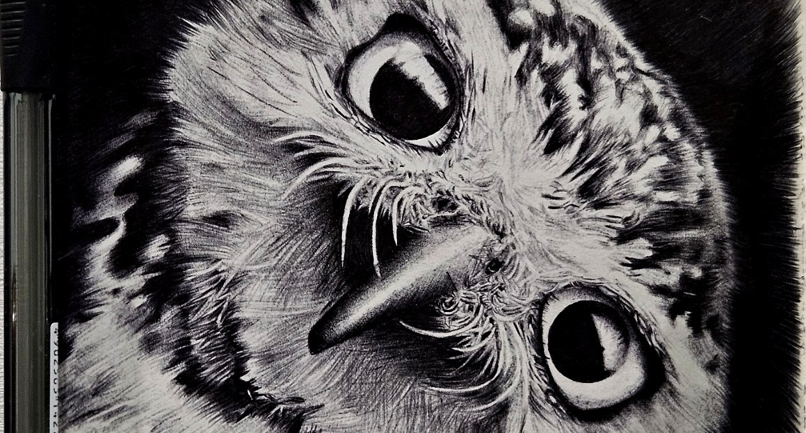 Мой рисунок: сова черной шариковой ручкой