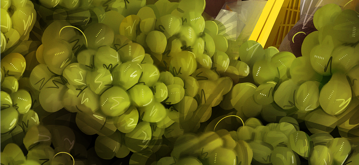 Мой рисунок: виноград