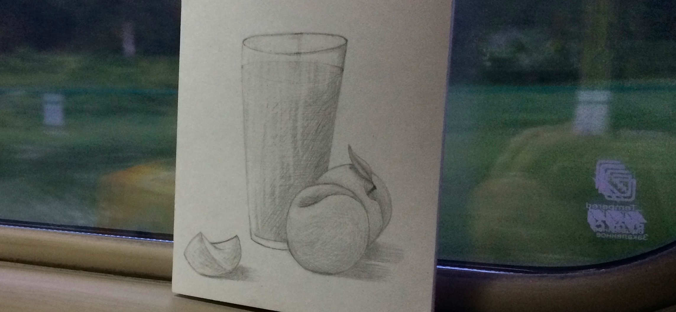 Мой рисунок: зарисовка из поезда