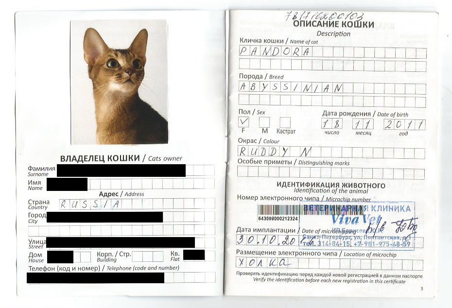Так выглядит заполненный ветеринарный паспорт — без него животное не пустят на борт