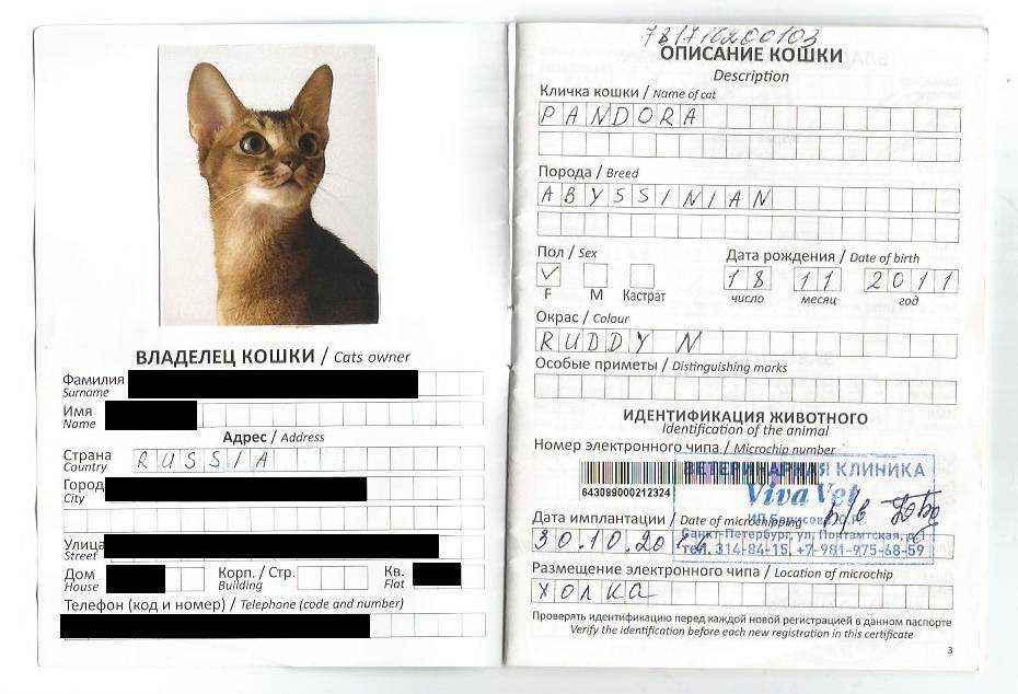 какие документы нужны для перевозки кошки в самолете