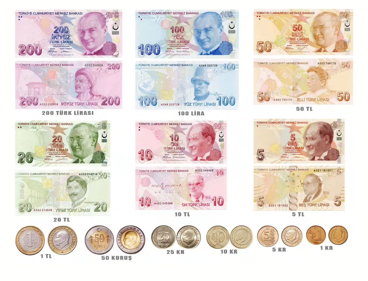Актуальные банкноты и монеты. Монеты до 1 TRY называются куруши. Источник: madeinturkeytours.com