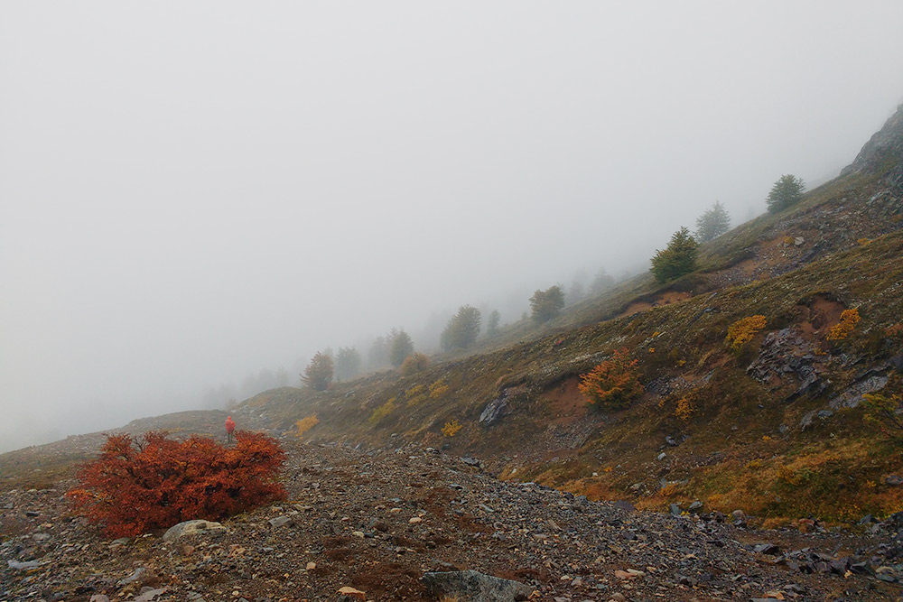 В апреле начинаются частые дожди, и тогда горы обволакивает густой туман. В таком тумане легко потеряться. Маркеров тропинок не видно