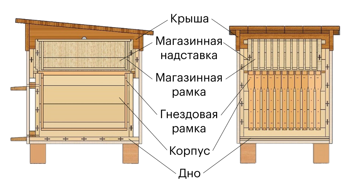 Вот по такой схеме я собрал два своих первых деревянных улья. Сейчас я использую ППС-ульи, но их конструкция в целом схожа. Источник: «Как сделать»