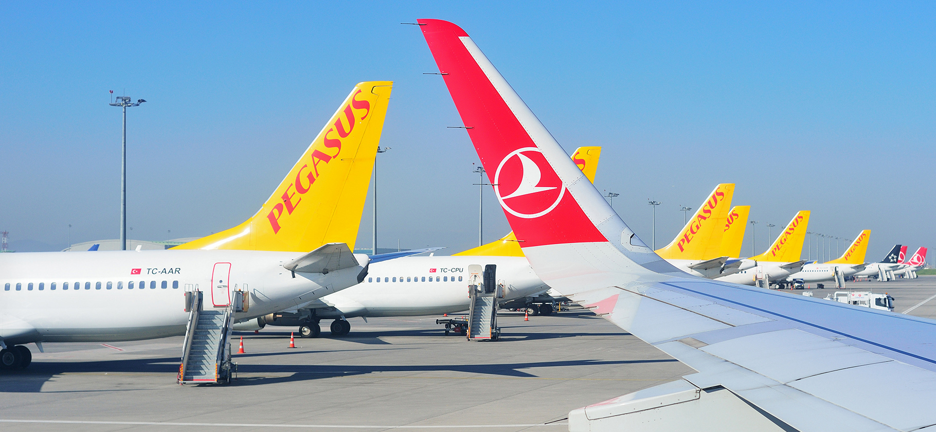 Pegasus и Turkish Airlines отменили 23 рейса между Россией и Турцией: что известно