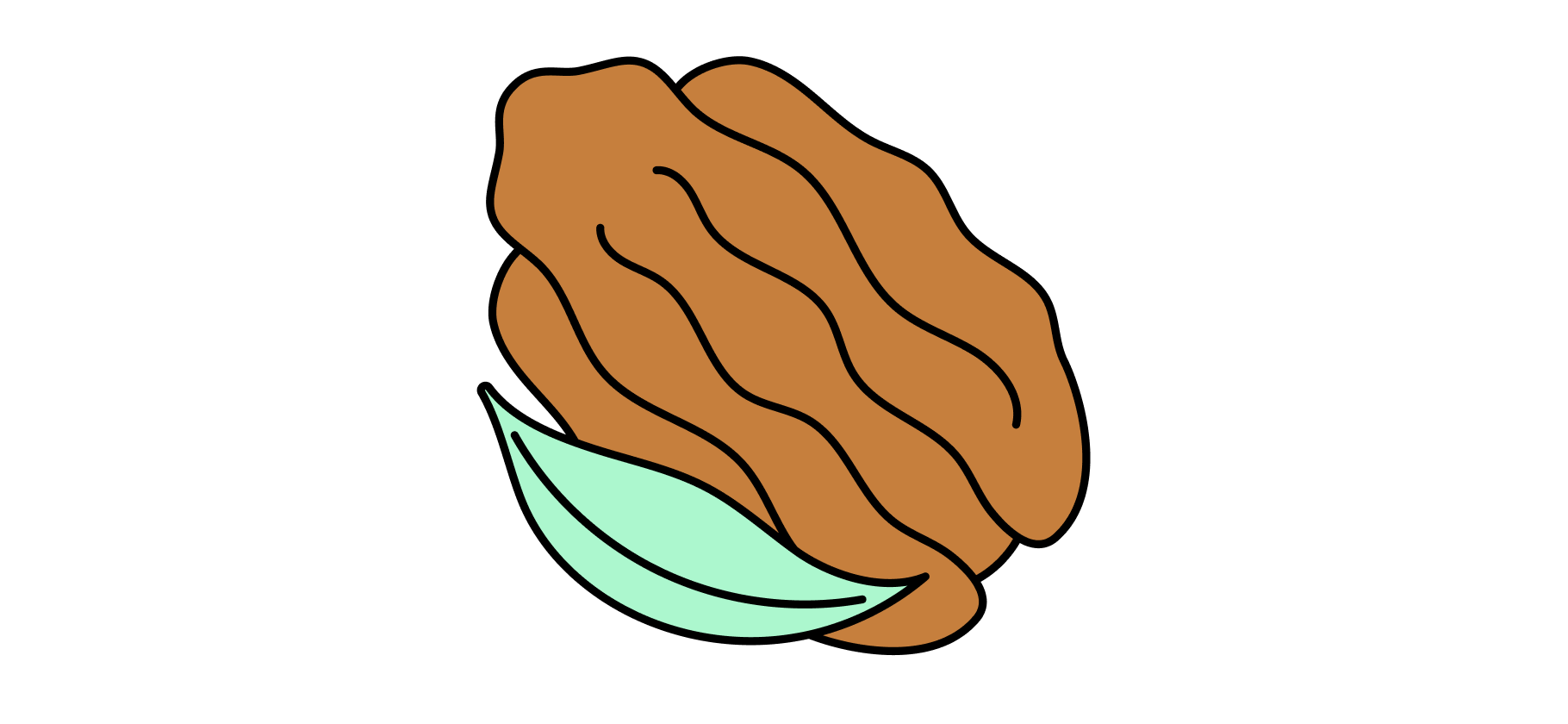 Правда ли, что орех пекан полезен для здоровья?