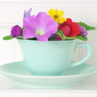 Обложка статьи