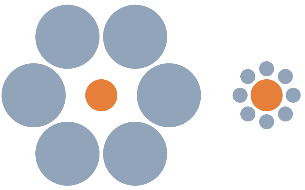 Круги оранжевого цвета не отличаются по размеру, однако из⁠-⁠за расположенных рядом фигур круг справа кажется больше. Источник: wikimedia.org