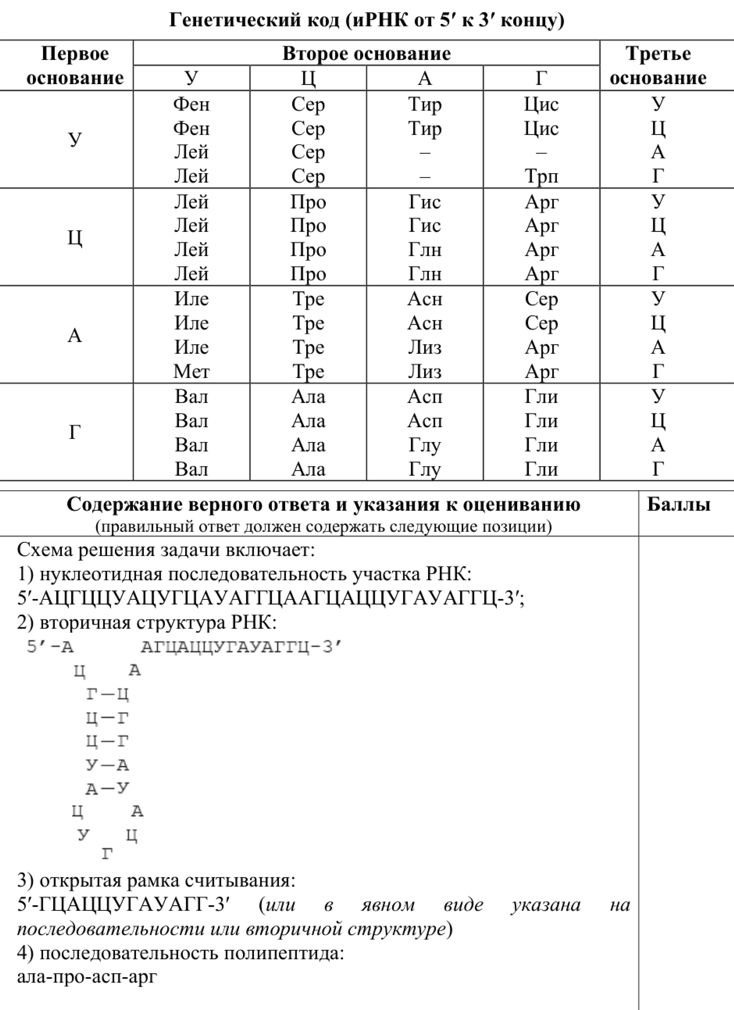 Последнее задание в экзамене с критериями оценивания. © fipi.ru