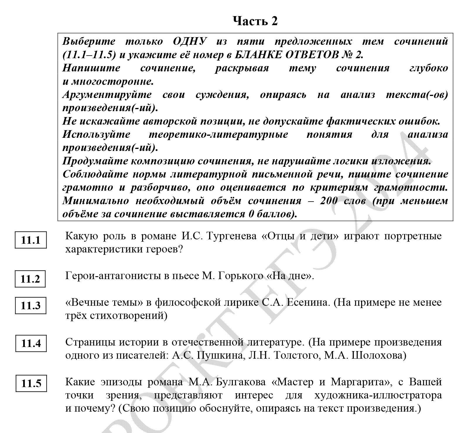 Темы для сочинений ЕГЭ по литературе. Из них нужно выбрать одну. Источник: fipi.ru