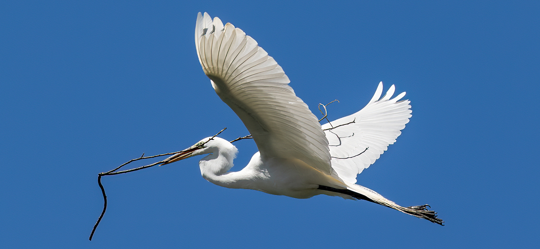 Вижу новости, что с 1 апреля в России изменятся правила оформления денежных переводов: как на самом деле