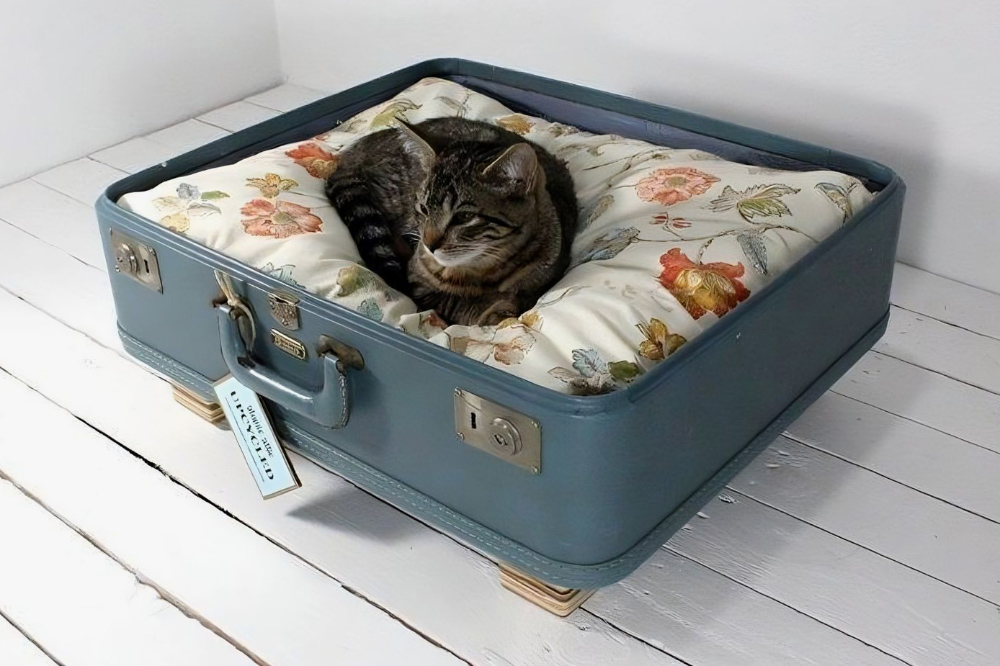 Можно не прикручивать ножки, а просто положить половинку чемодана на пол. Источник: firmmy.ru