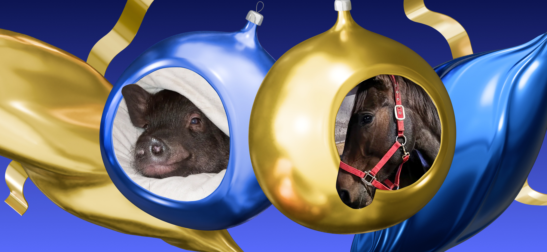 Питомец 2025 года ​в Сообществе Т⁠⁠—⁠⁠Ж: подводим итоги голосования