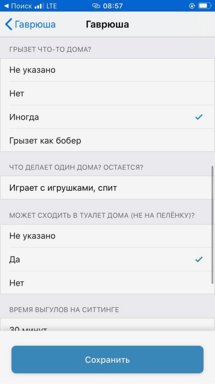 Сервисы передержки для животных: как оставить собаку или кошку на время  отпуска