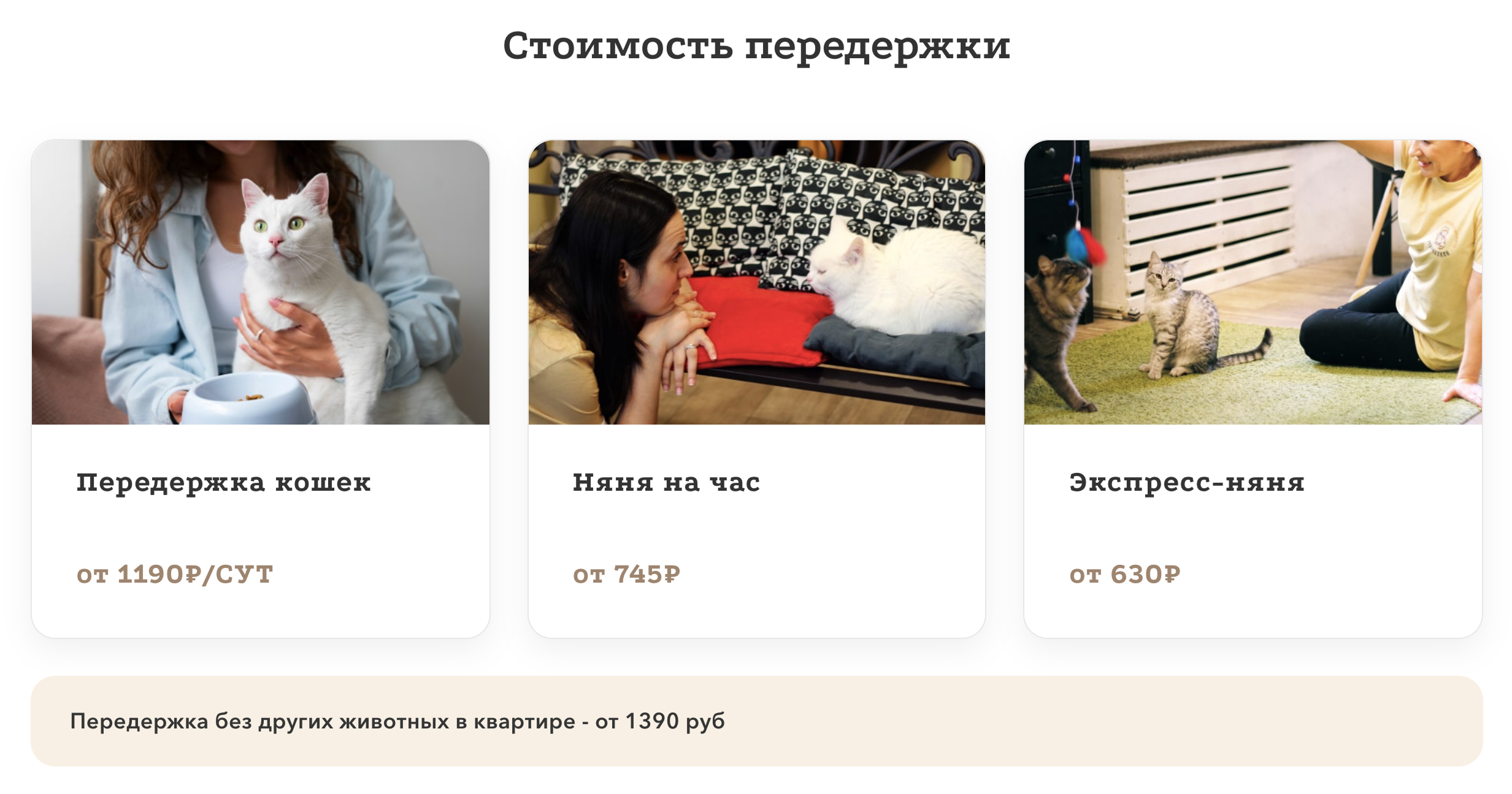 Если котиков несколько, за каждого дополнительного питомца нужно доплатить 200 ₽ в сутки. Источник: murchalkin.ru