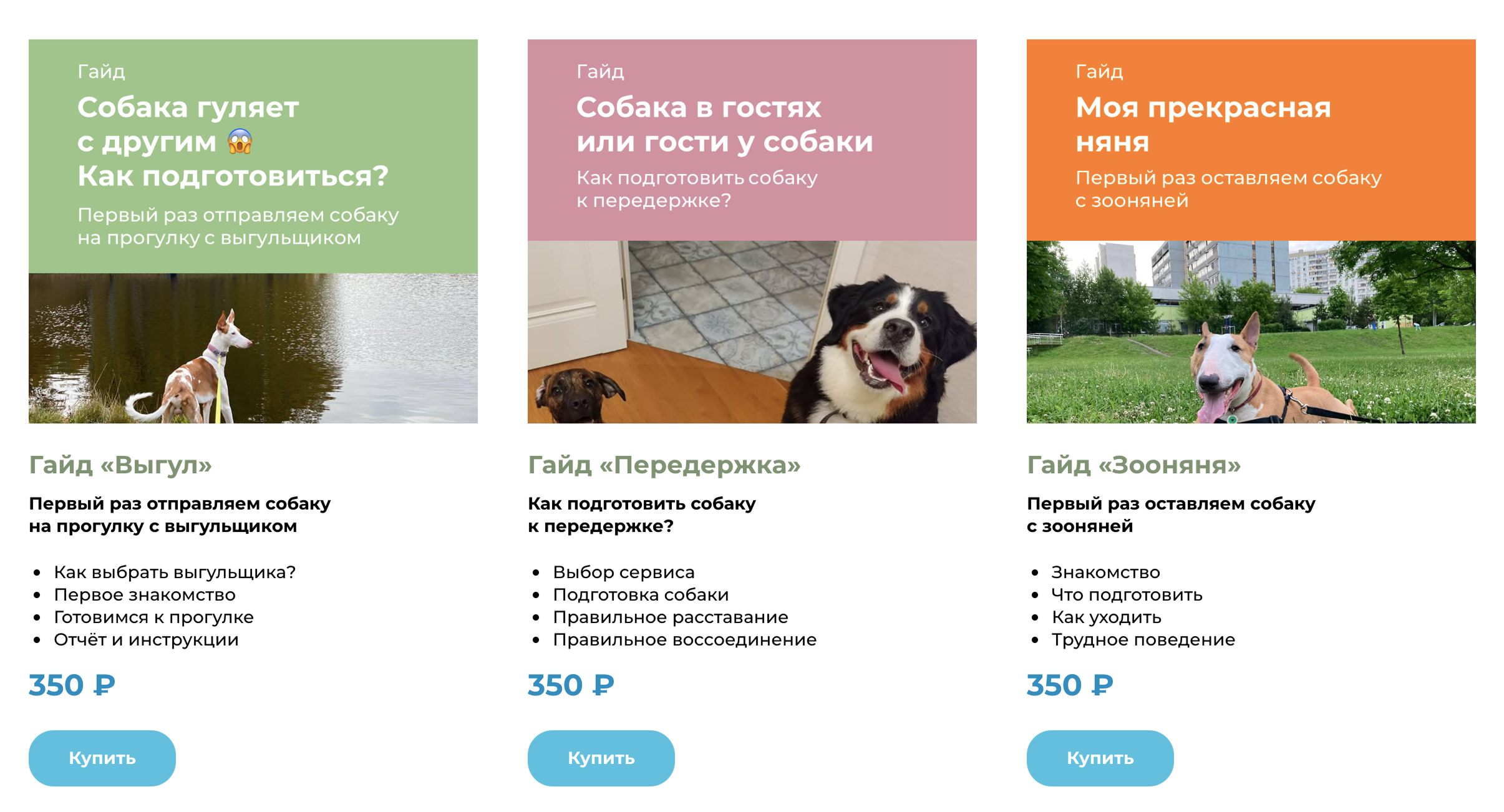 Чтобы узнать, как подготовить питомца к встрече с незнакомым человеком, владельцы собак могут воспользоваться гайдами. Источник: walkwag.ru