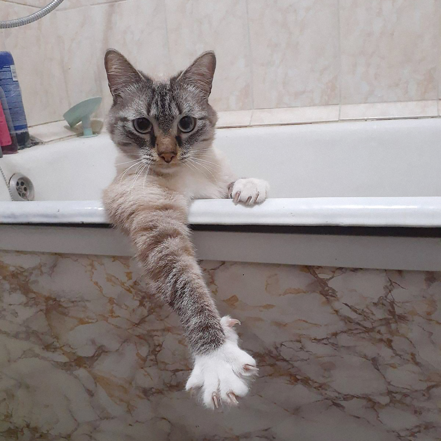 «Не мешай купаться!»