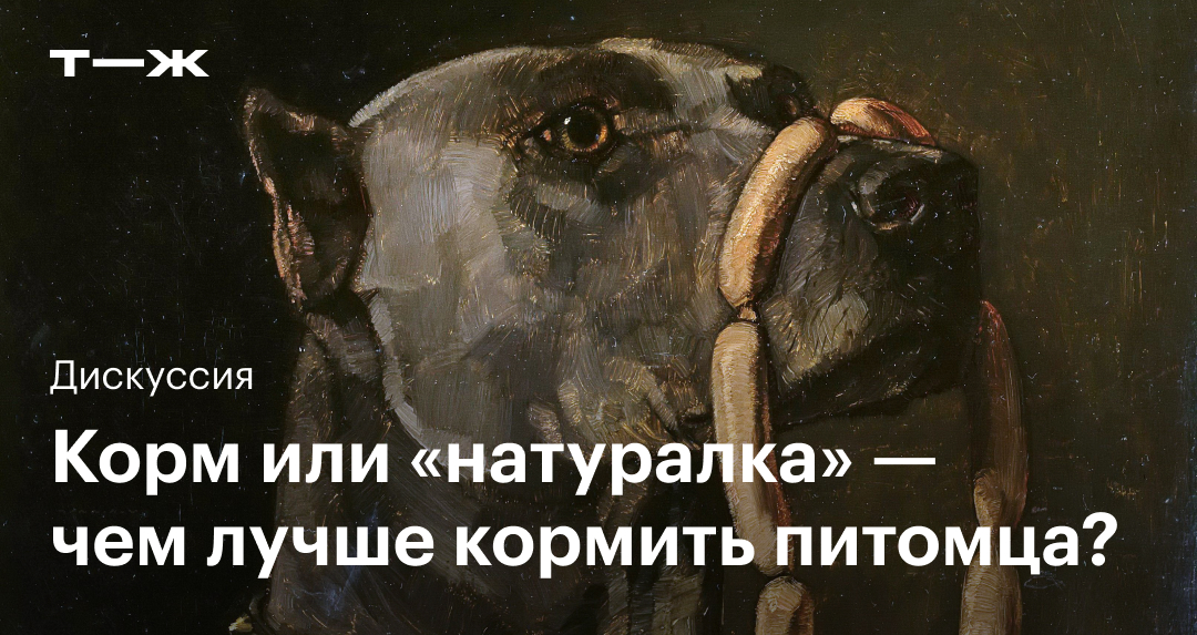 Корм или натуралка — чем лучше кормить питомца?