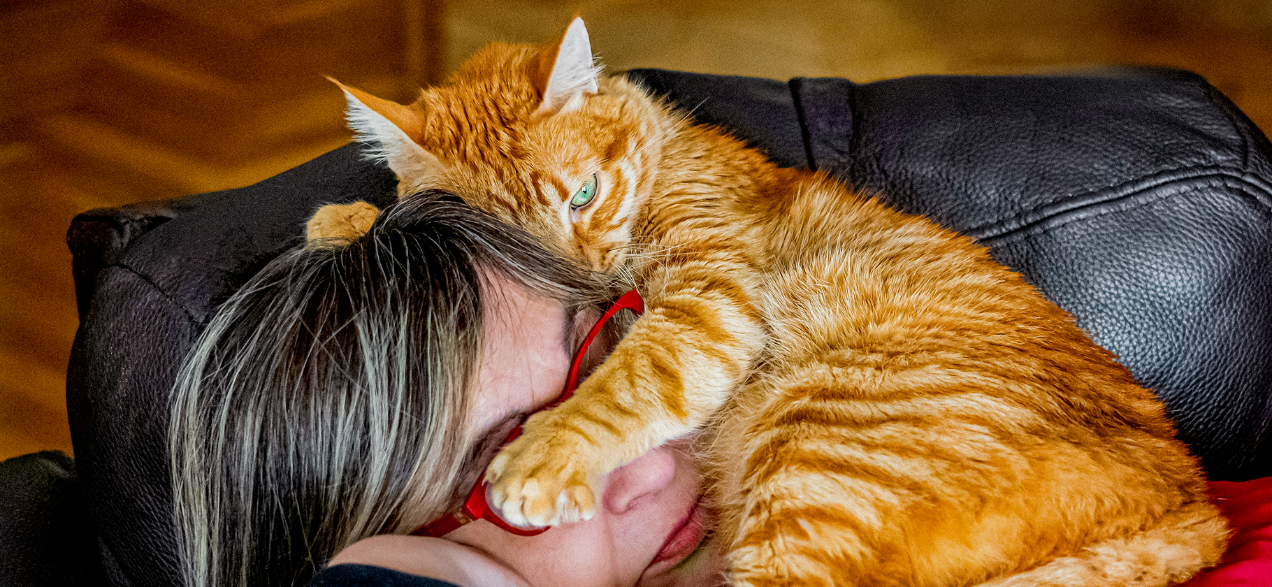 «Бежит рассказать, как соскучился»: 6 способов, кото­рыми питомцы выражают любовь