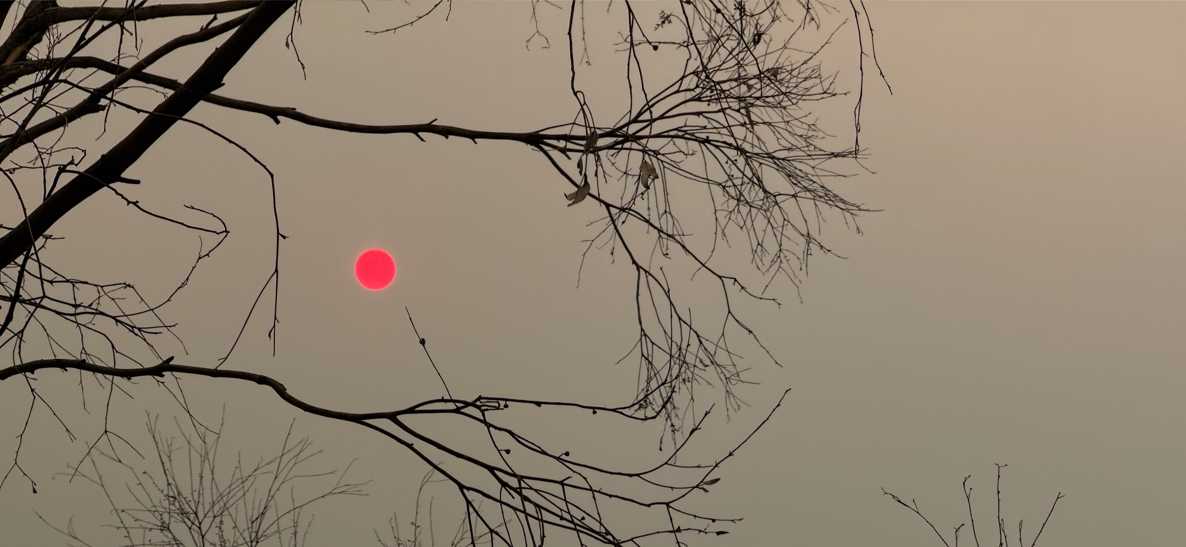 Мобильное фото: красное солнце и дым