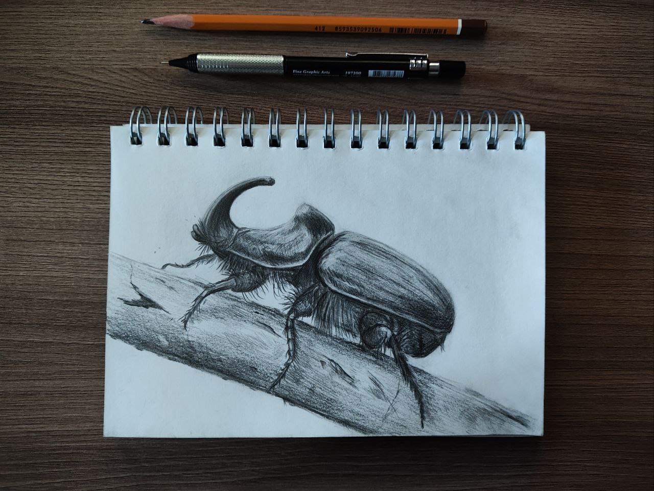 Рисовал обычными карандашами