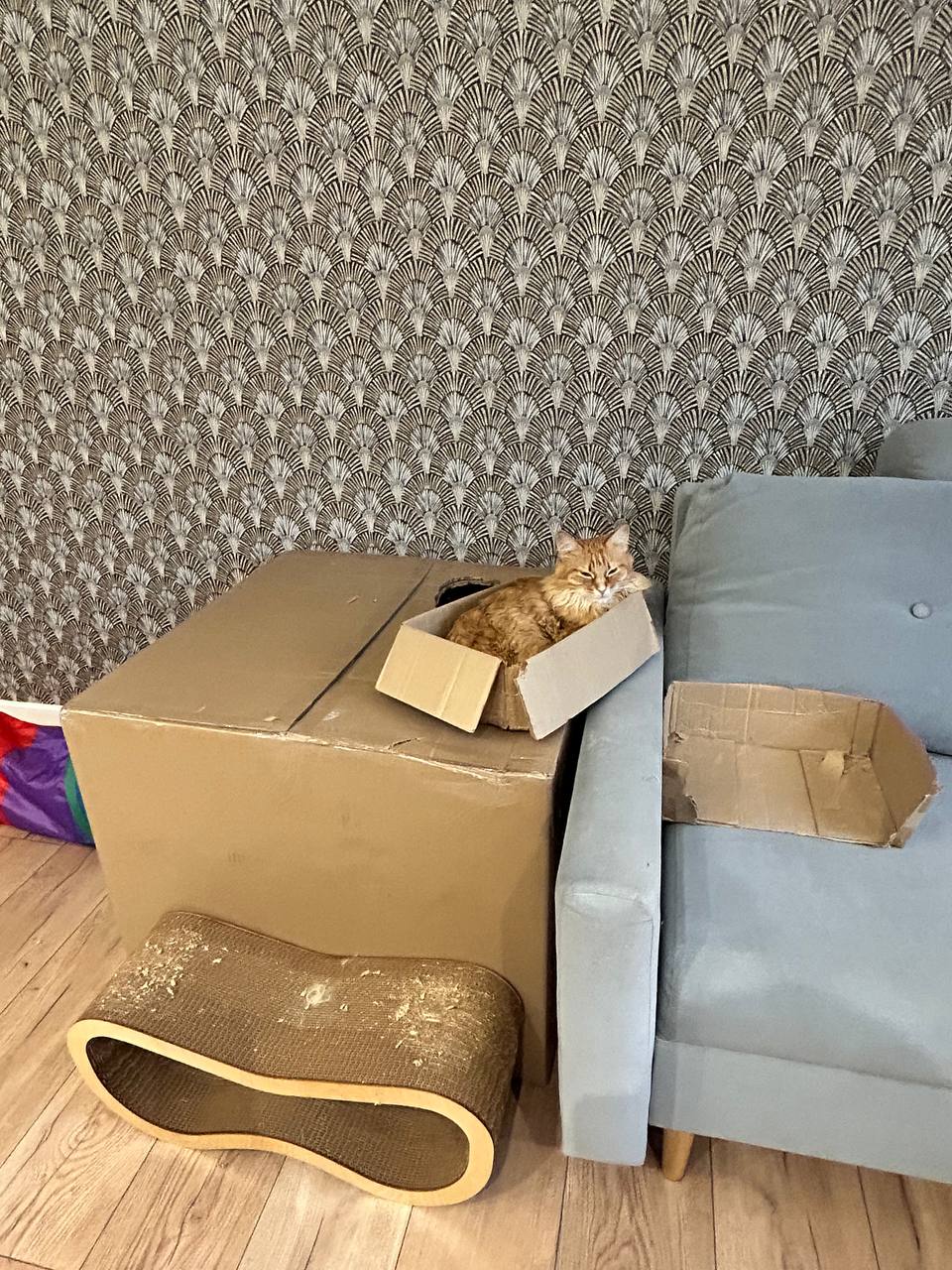 коробок мало не бывает