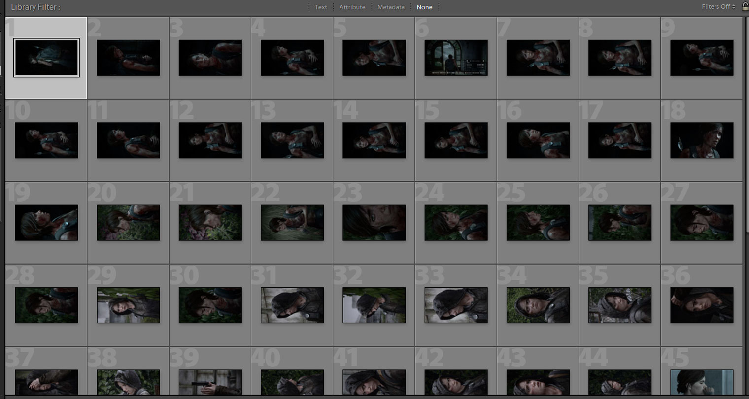Из 45 снимков я выбрала шесть-семь, остальные отправились в корзину. И это еще неплохой результат. Кадры: Sony Interactive Entertainment / The Last of Us Part 2