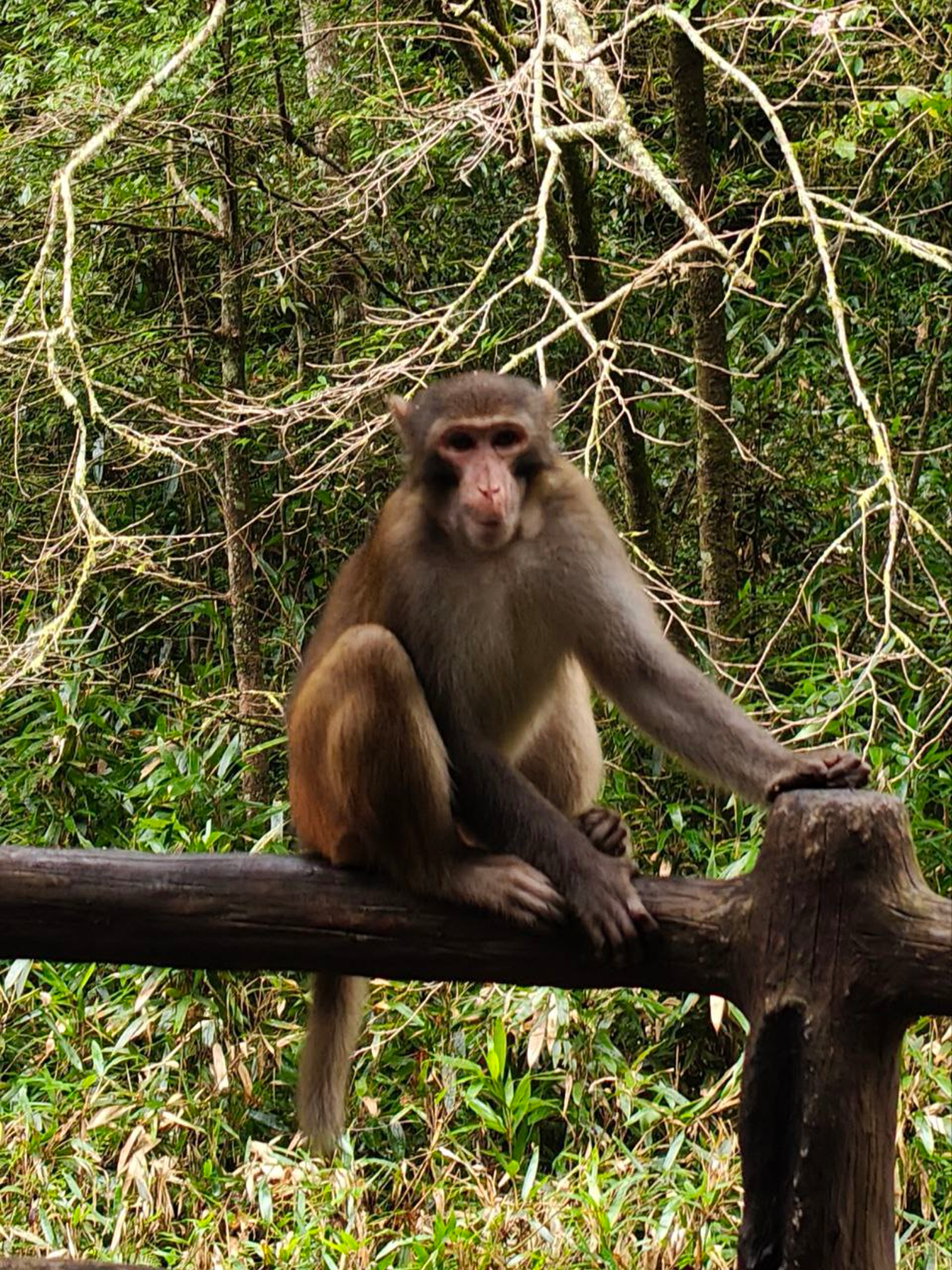 Виды со стороны ручья “Золотой хлыст”