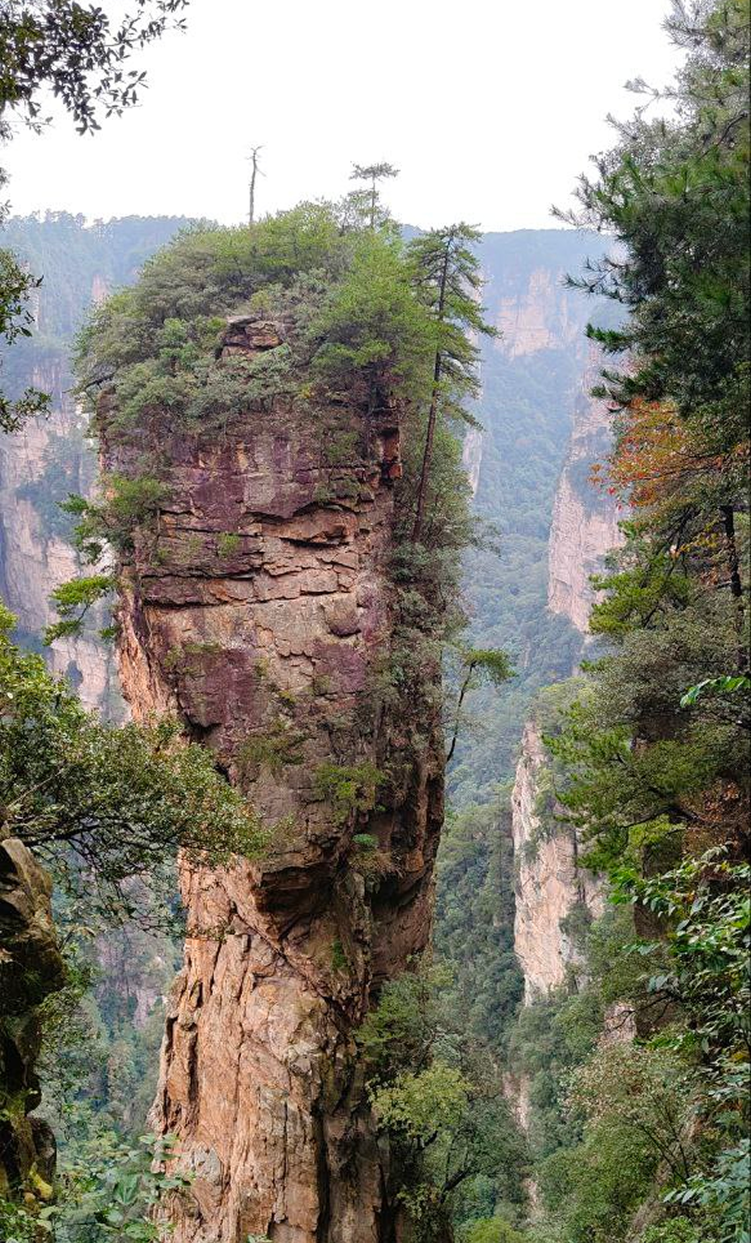 Горы в парке