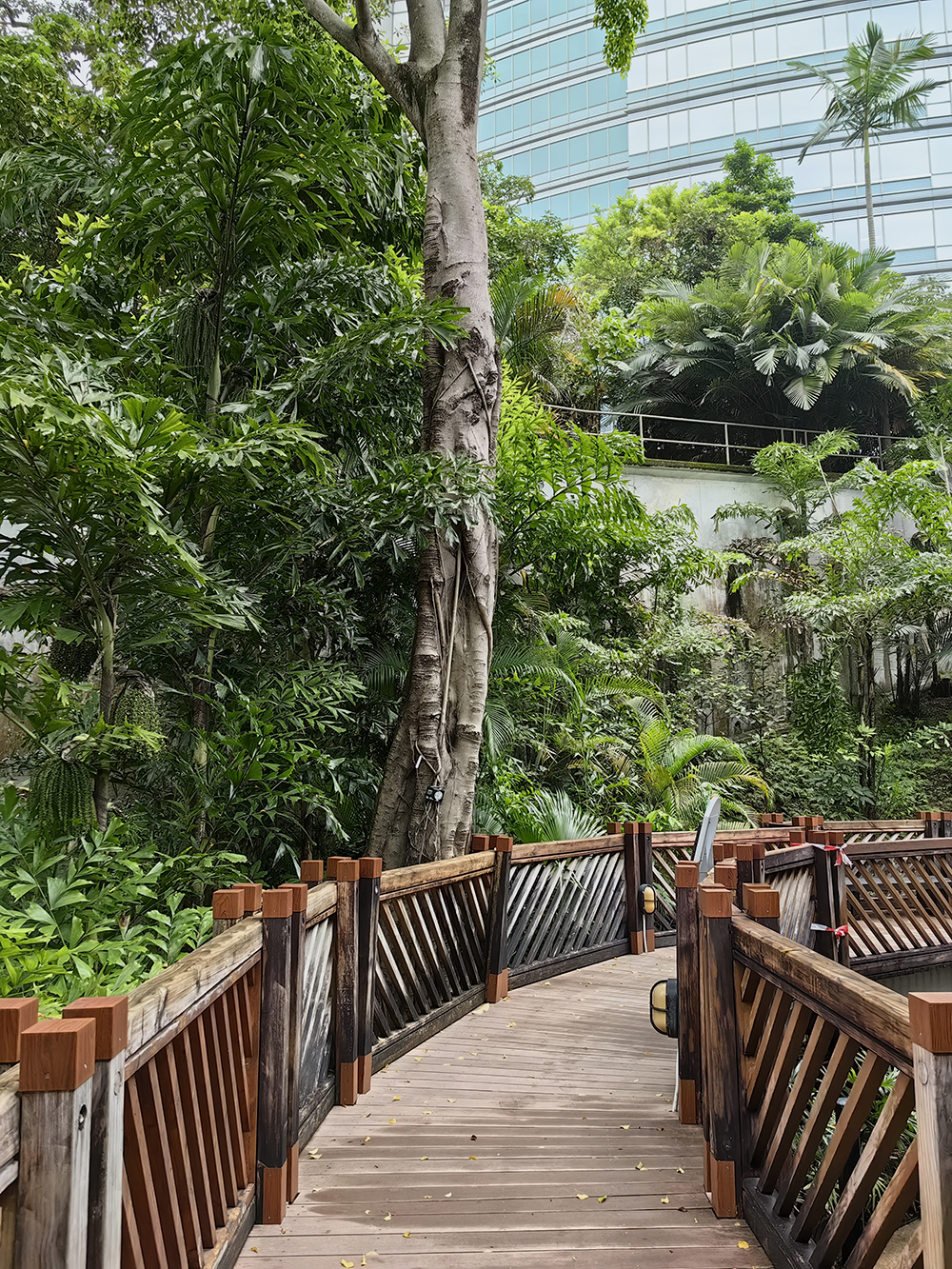 Городской парк Гонконга в центральном районе. Много растений, пешеходных дорожек, прудов, вольеров с птицами