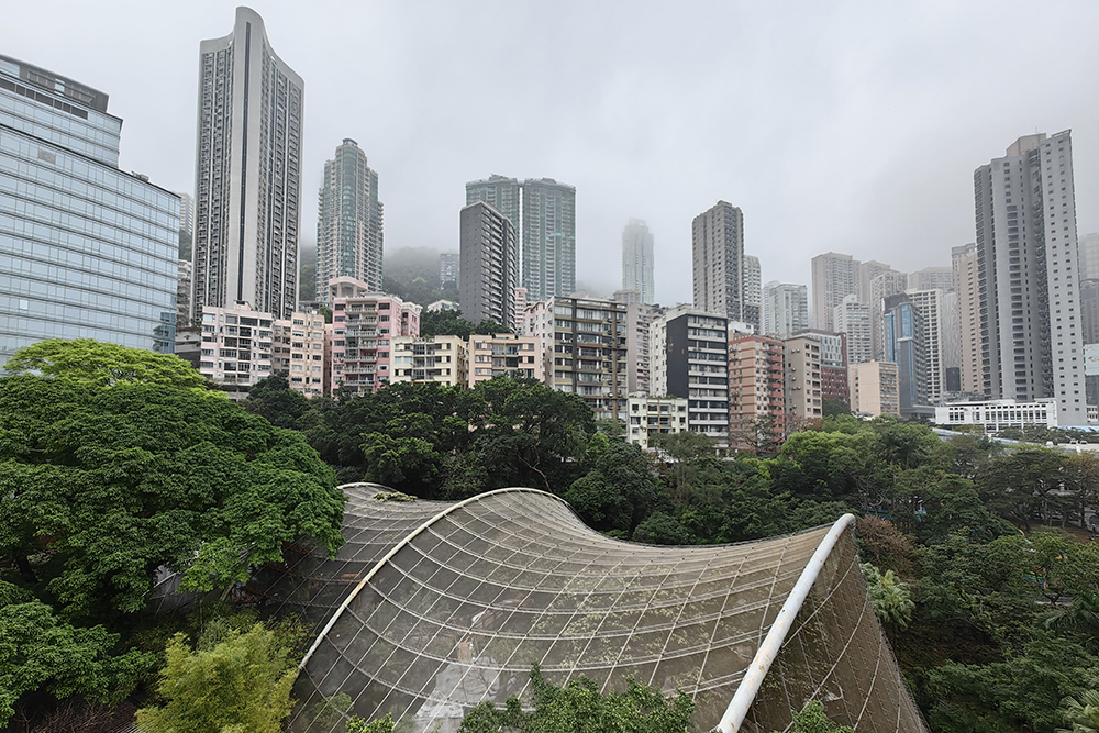 Окружающие парк Гонконга высотки и птичий вольер среди деревьев