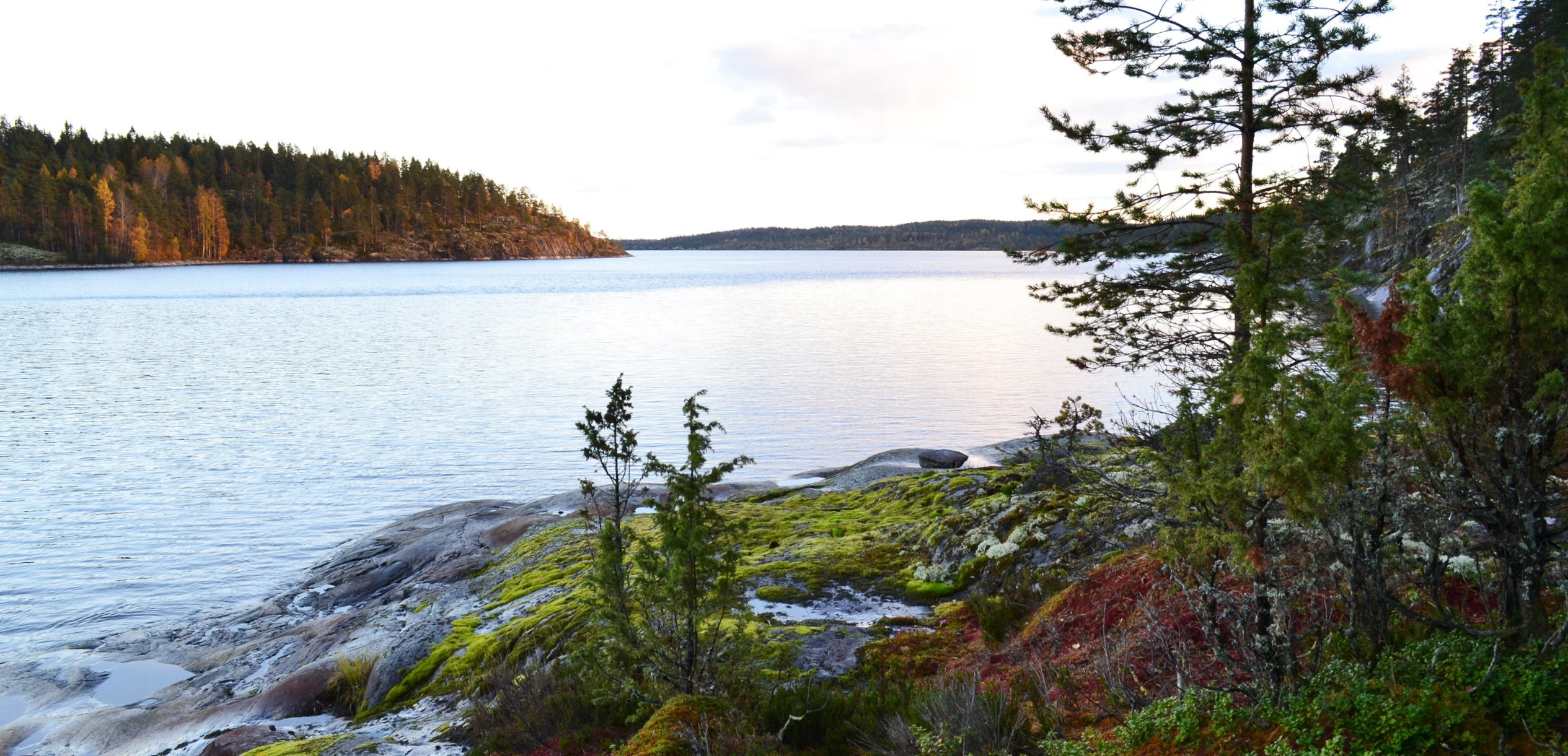 Фотоальбом: как мы съездили в Карелию осенью 2025 года