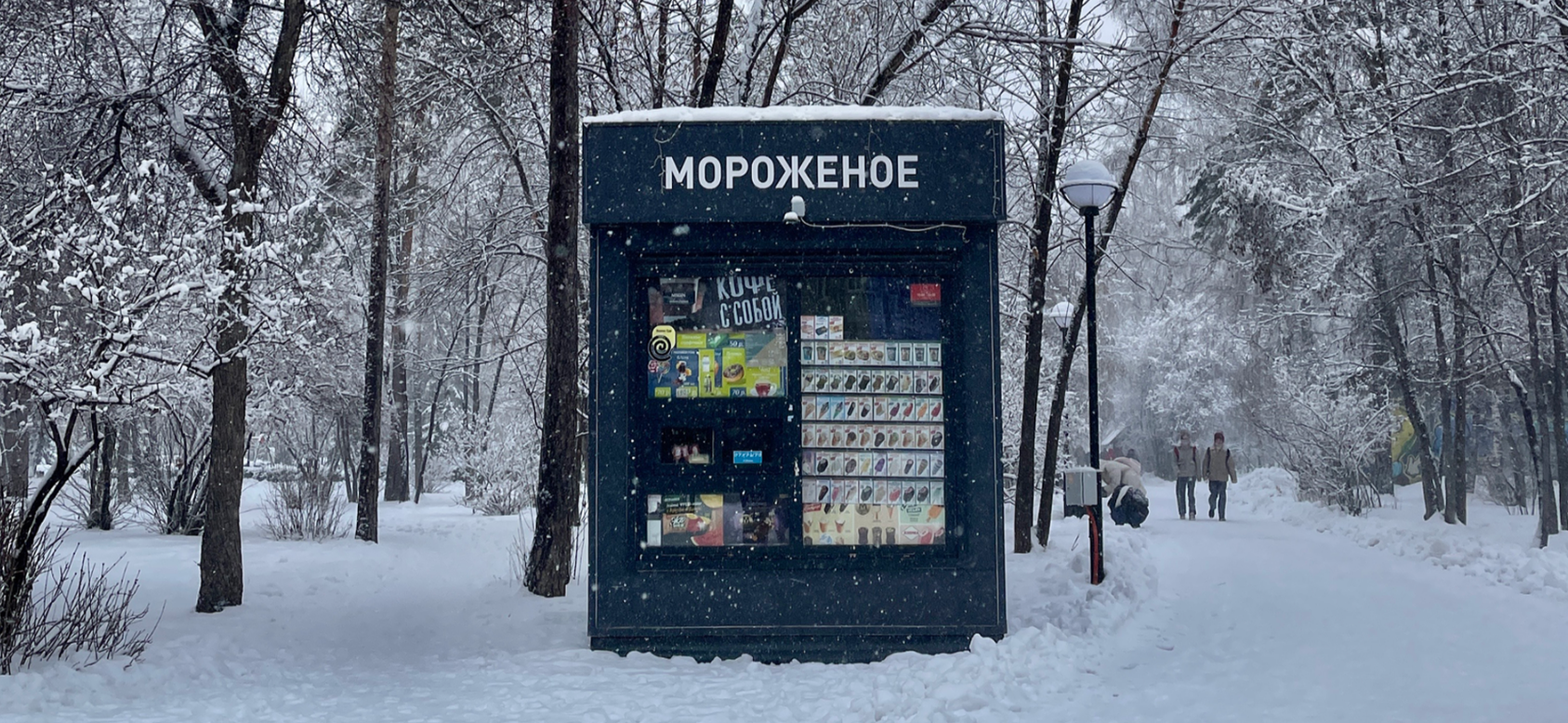 Фотоальбом: как я провела три дня в Новосибирске в ноябре 2025 года