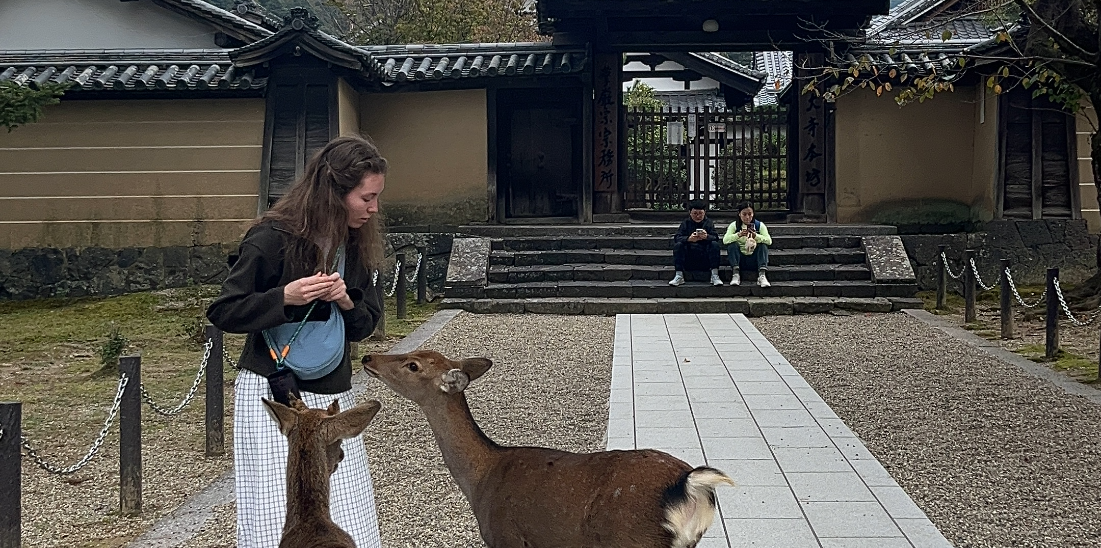Фотоальбом: как мы путешествовали по Турции, Шри-Ланке, Вьетнаму, Японии и Индонезии