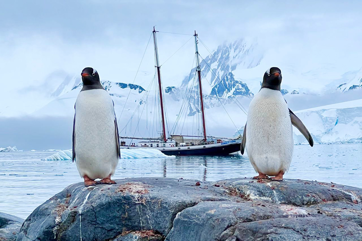 В бухте Кувербиль нас ждала одна из самых живописных высадок: мы отправились в гости к пингвинам в Пингвинополис