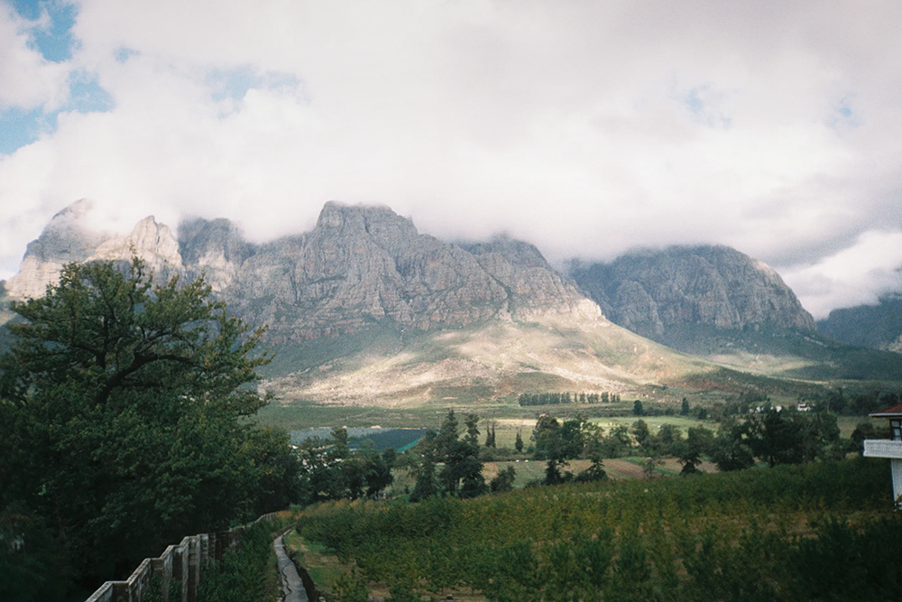 В один из дней мы отправились в Стелленбос — уютный университетский городок в долине в 50 километрах от Кейптауна и центр крупнейшего в Южной Африке винодельческого региона. Наконец⁠-⁠то горы!