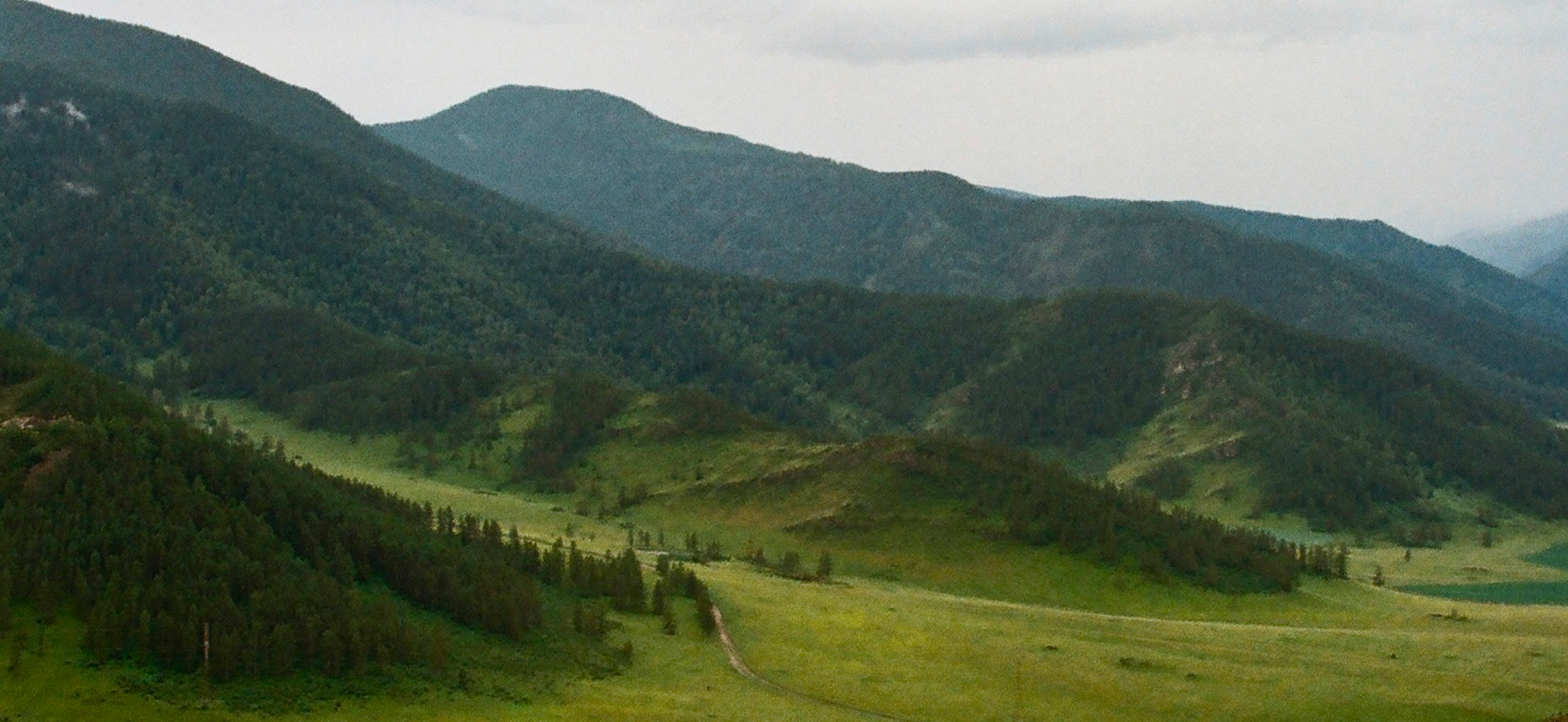Фотоальбом: как мы путеше­ствовали по Горному Алтаю на машине